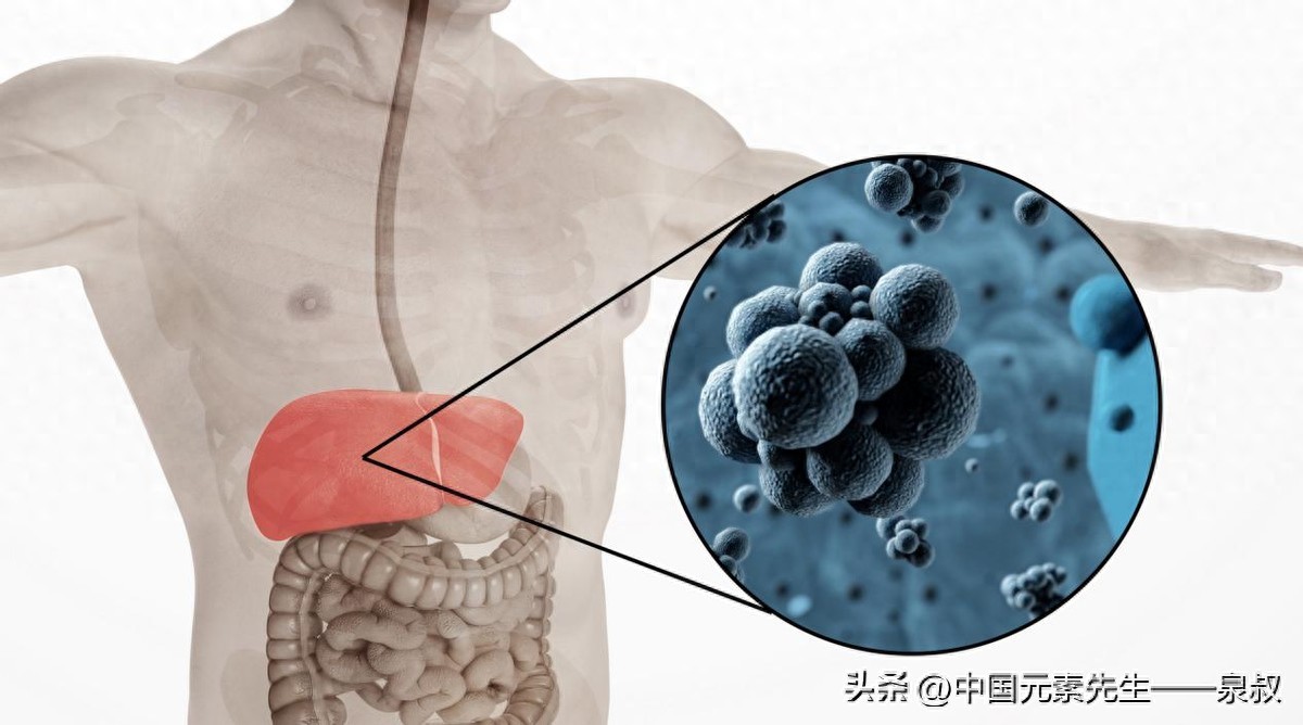 补硒慢性乙肝（乙肝患者锌硒补充方法）-硒宝网