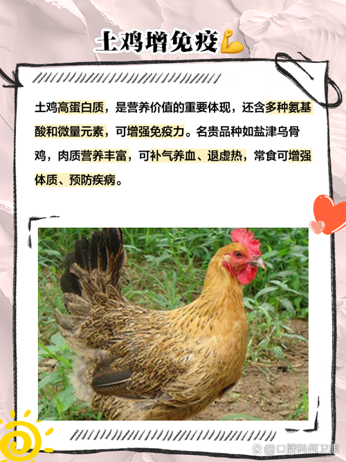 土鸡需要补硒(土鸡营养价值分析)-硒宝网