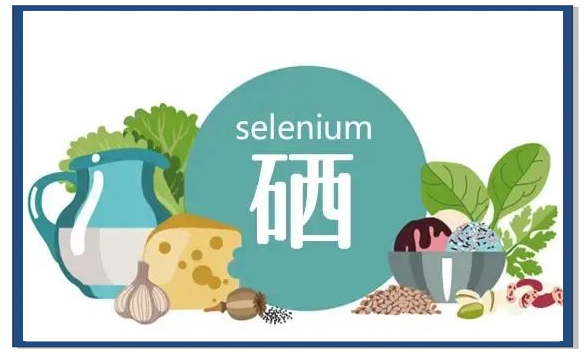 全民补硒政府（硒元素生理功能）-硒宝网