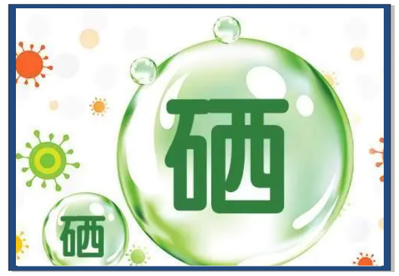 全民补硒政府（硒元素生理功能）-硒宝网