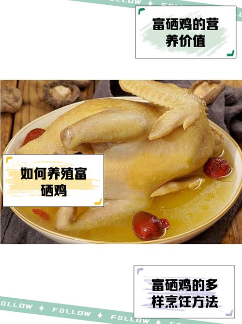 土鸡需要补硒(土鸡养殖利润计算)-硒宝网