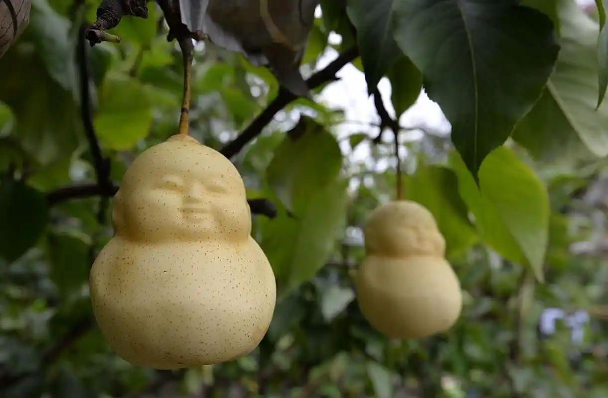 美国推荐补硒(甲状腺疾病蔬果推荐)-硒宝网