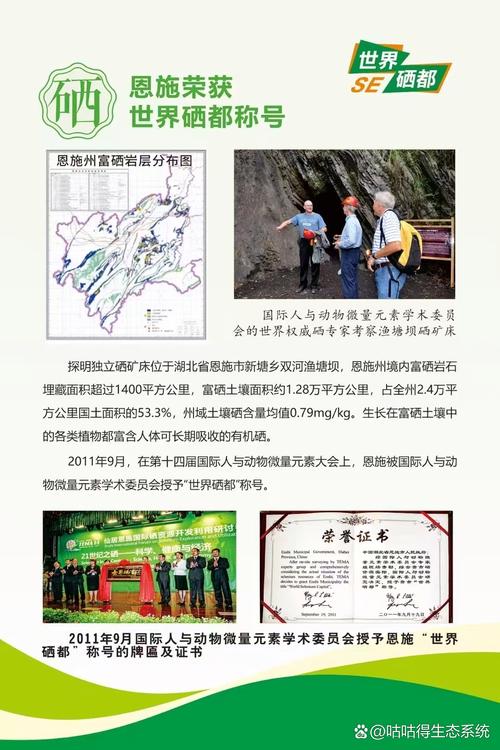 美国推荐补硒（恩施硒产业发展）-硒宝网