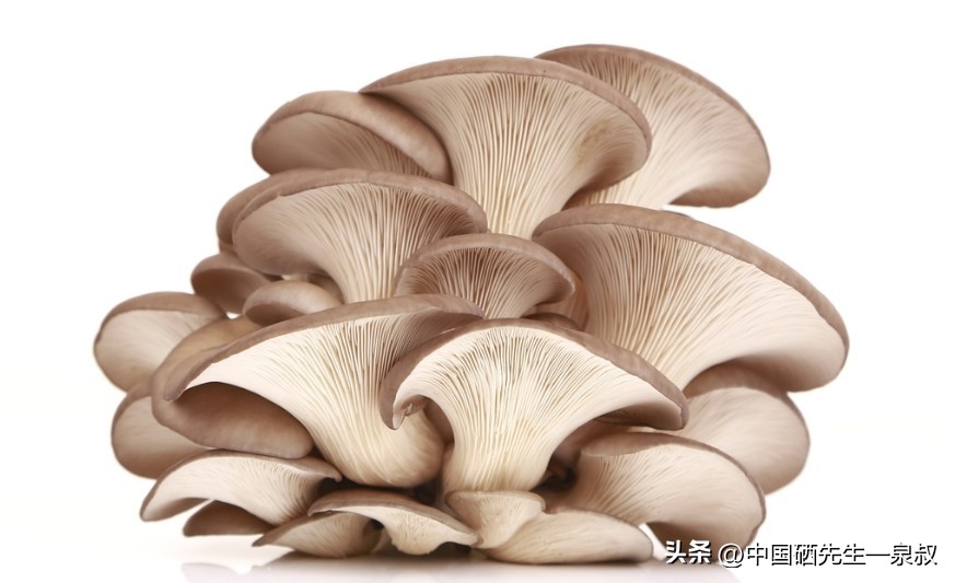 江苏启东补硒(护肝食物锌硒镁)-硒宝网