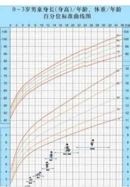 婴儿补硒产品(婴儿期成长发育标准)-硒宝网