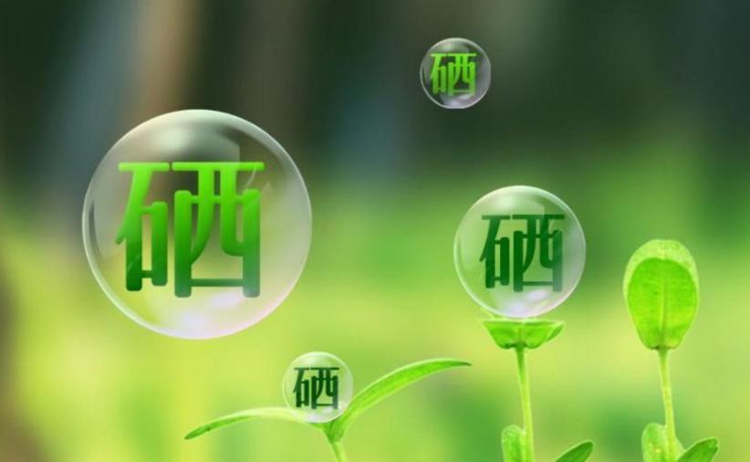 全民补硒项目（硒元素健康益处）-硒宝网