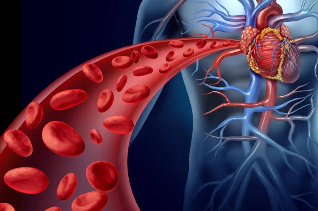 全民补硒项目（硒元素健康益处）-硒宝网