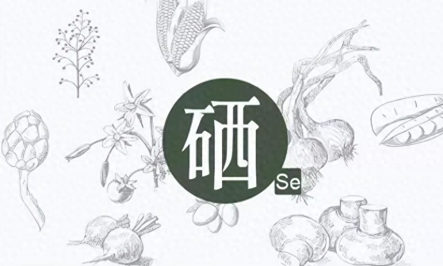 补硒睡眠好了（硒元素抗氧化功能）-硒宝网