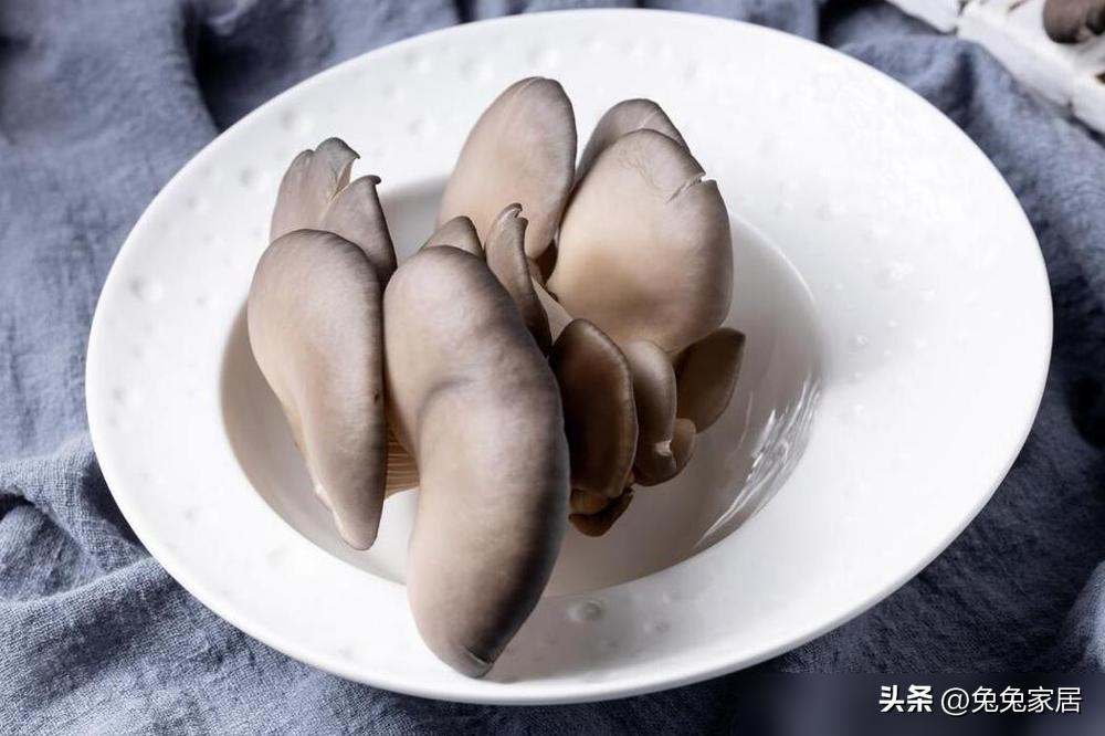 老人怎样补硒(包菜炒鸡蛋补硒)-硒宝网