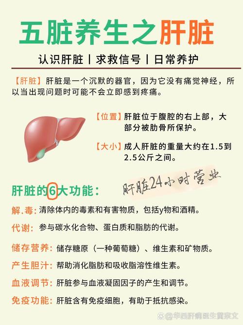 肝脏补硒时间(中医养肝知识)-硒宝网