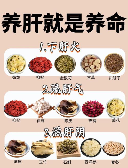 肝脏补硒时间(中医养肝知识)-硒宝网