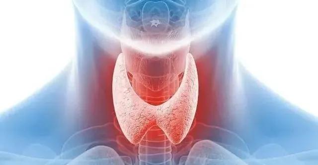 甲亢突然补硒()-硒宝网