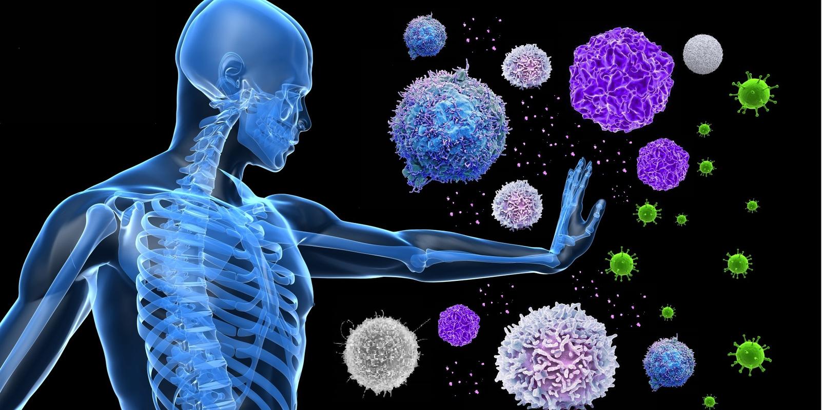 硒元素补多少（硒含量食物推荐）-硒宝网