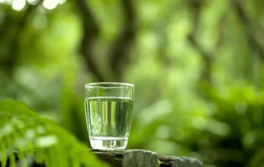 牛奶可以补硒（蔬菜补钙推荐）-硒宝网