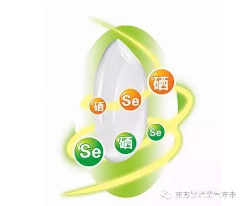 水果怎么补硒(硒提高免疫力)-硒宝网