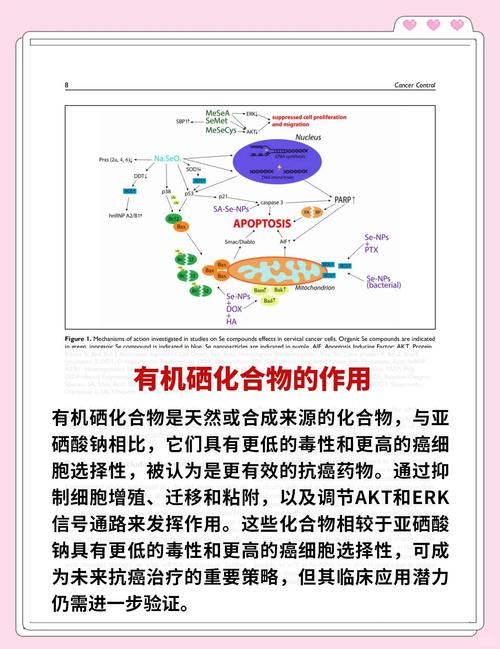 德国补硒研究(植物活性硒来源)-硒宝网