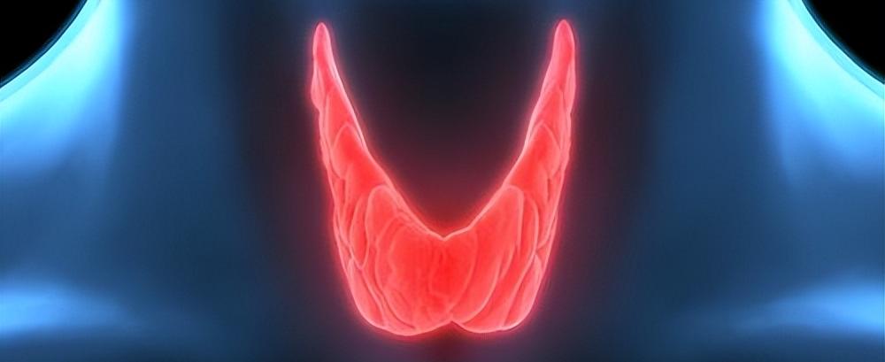 桥本抗体补硒（西红柿富硒蔬菜）-硒宝网