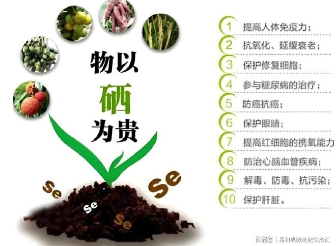 全民补硒倡议（全民补硒重要性）-硒宝网