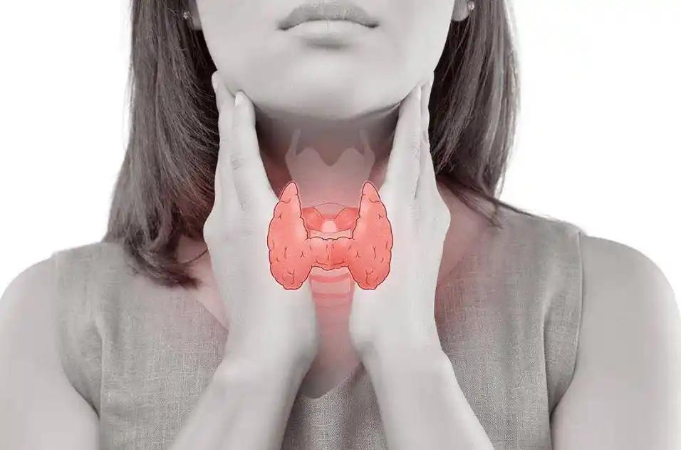 硒元素补多少（硒与免疫系统）-硒宝网