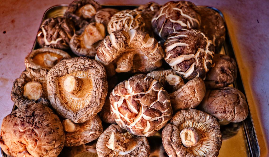 补硒治疗感冒（巴西坚果硒含量）-硒宝网