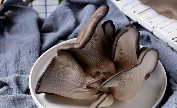 成人补硒多少(蘑菇营养功效)-硒宝网