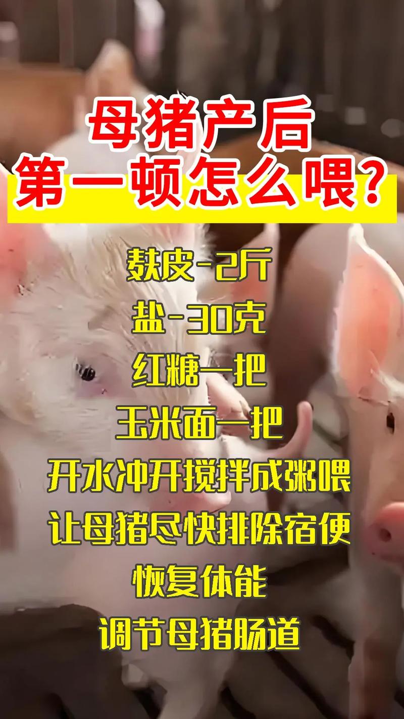 下生小猪补硒（仔猪补铁补硒方法）-硒宝网