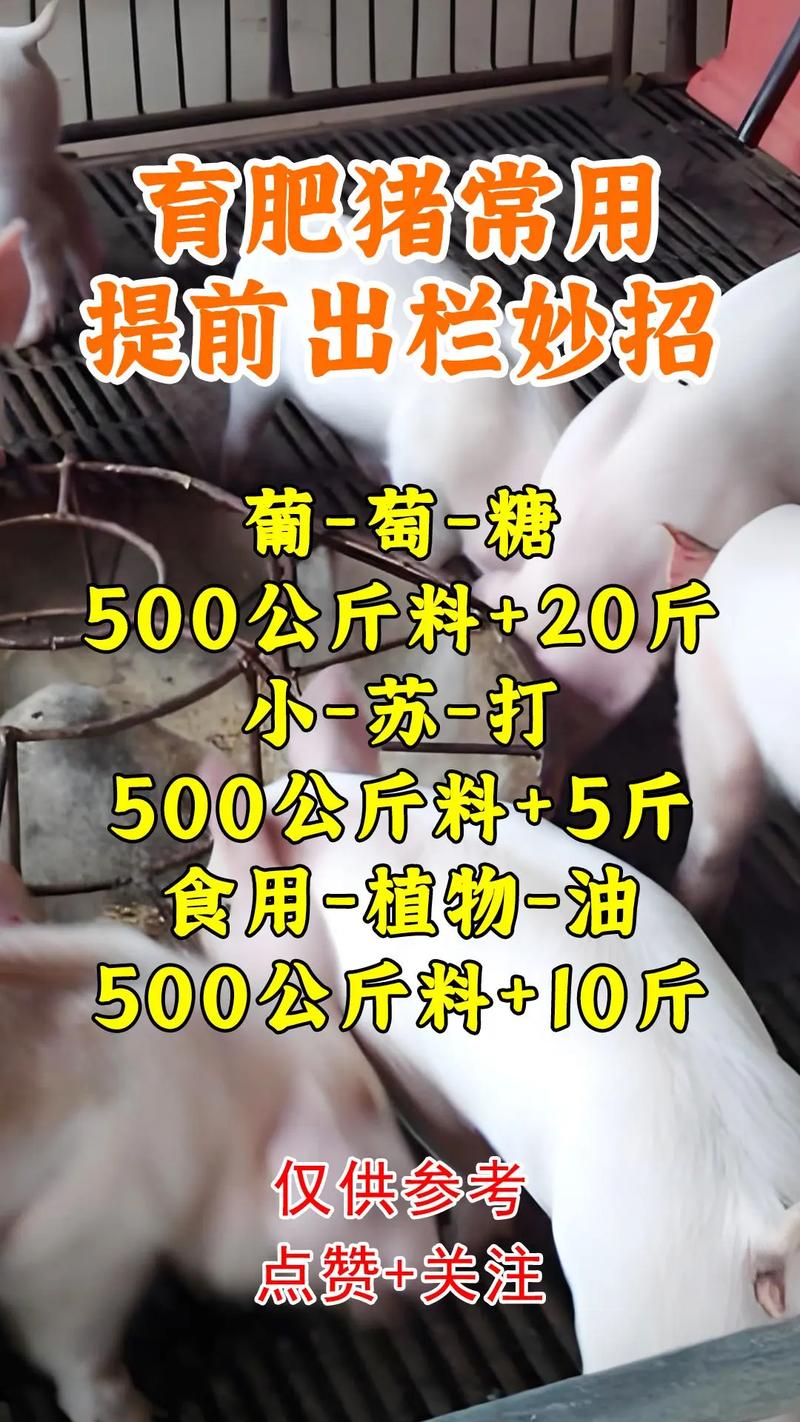 下生小猪补硒（仔猪补铁补硒方法）-硒宝网