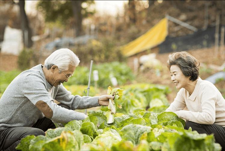 补硒治疗感冒(硒元素对老年人作用)-硒宝网