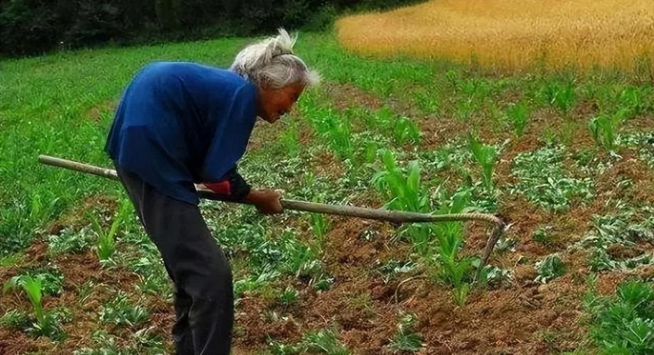 补硒治疗剂量(硒元素补充食物来源)-硒宝网