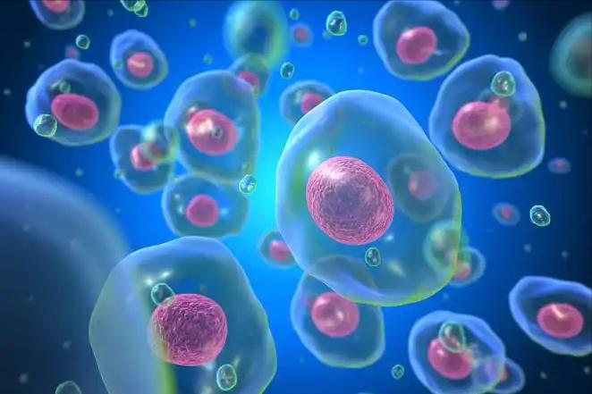 最好补硒产品（高硒蔬菜推荐）-硒宝网