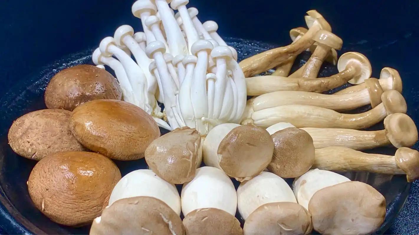 最好补硒产品（高硒蔬菜推荐）-硒宝网