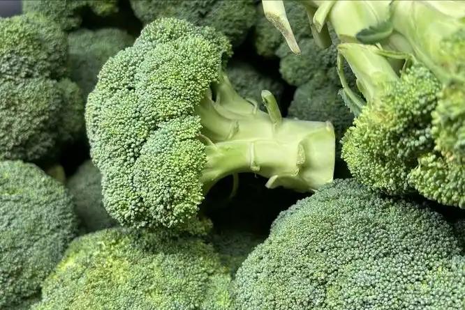 最好补硒产品（高硒蔬菜推荐）-硒宝网