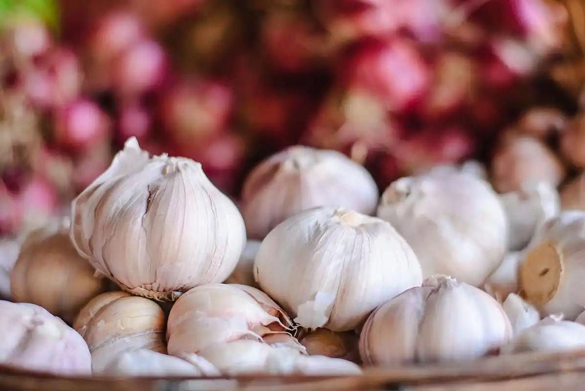 补硒长寿元素(高硒蔬菜推荐)-硒宝网