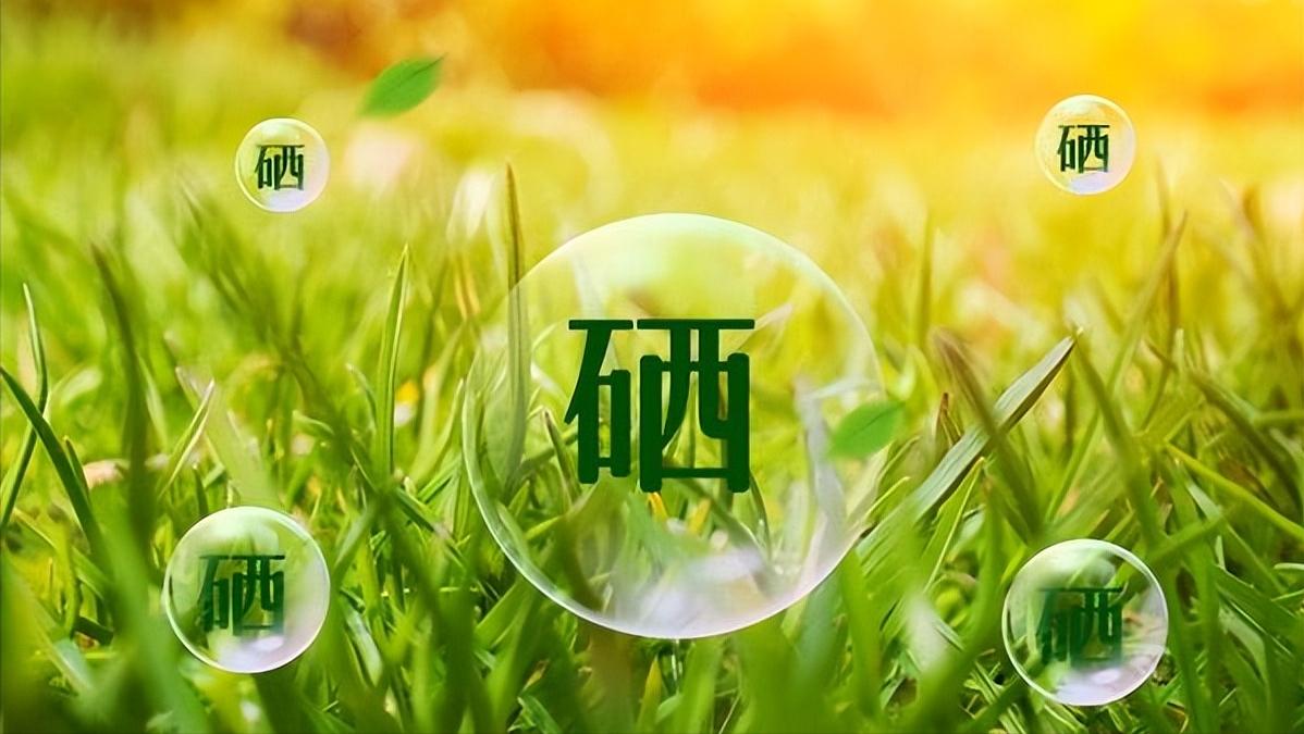 补硒长寿元素(高硒蔬菜推荐)-硒宝网