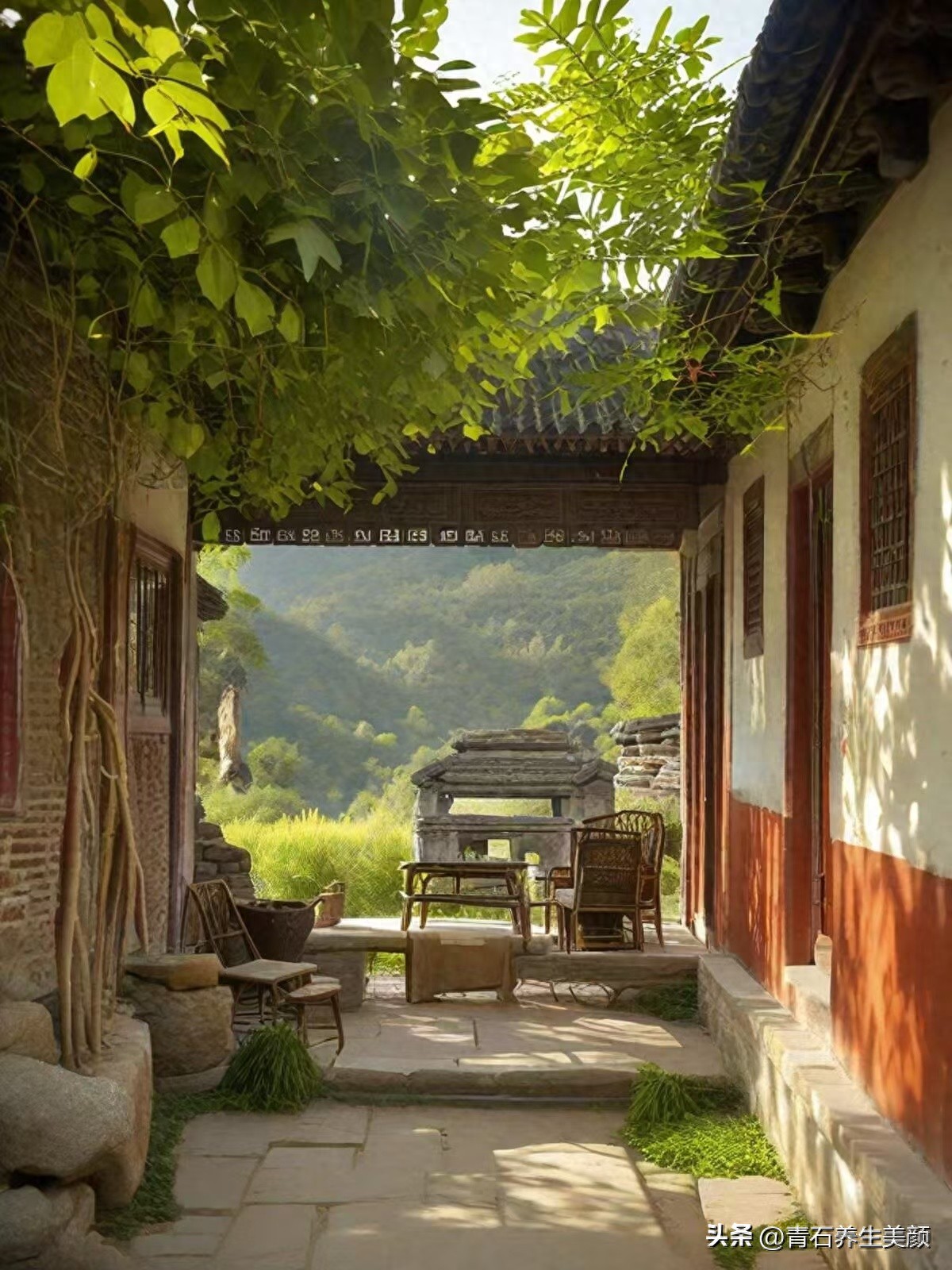 补硒要吃哪些（土豆炒小白菜含硒）-硒宝网