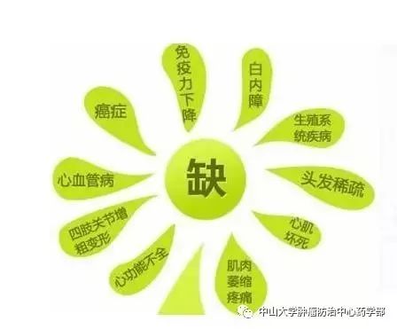 肾癌怎么补硒（硒的免疫调节作用）-硒宝网