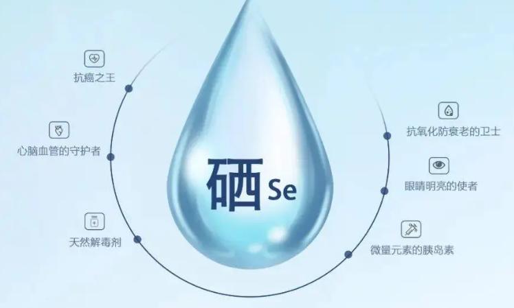 补硒调节免疫(硒与肝脏健康关系)-硒宝网