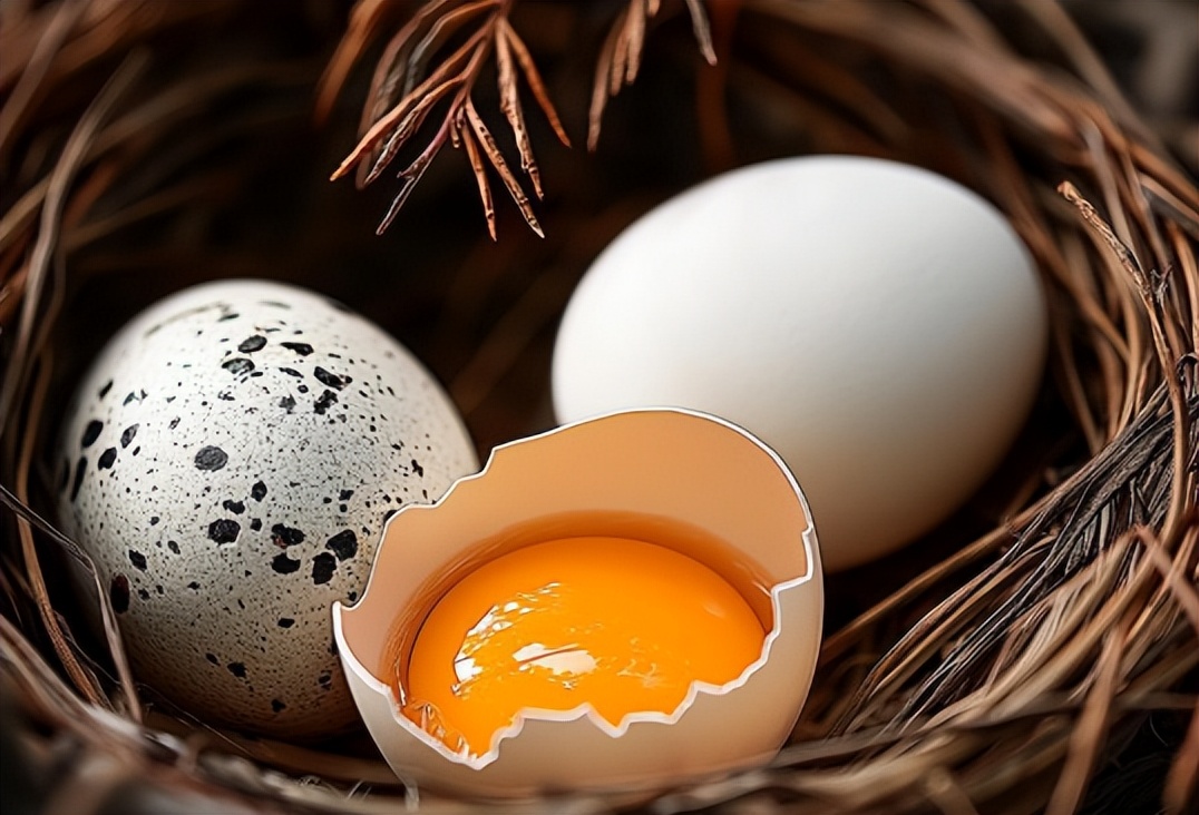 补硒调节免疫(硒与肝脏健康关系)-硒宝网