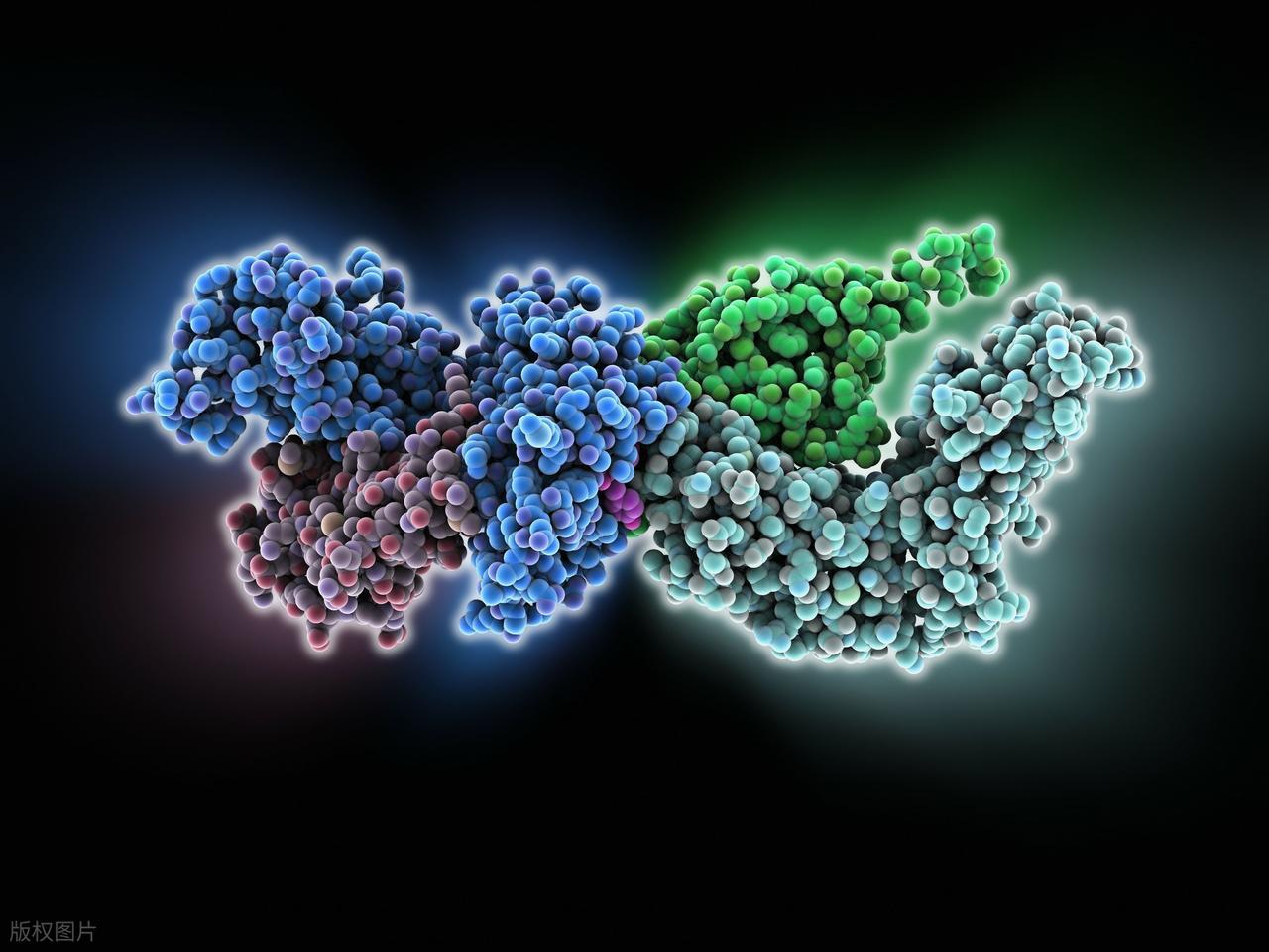玉米补硒栽培(玉米硒多少钱一盒)-硒宝网