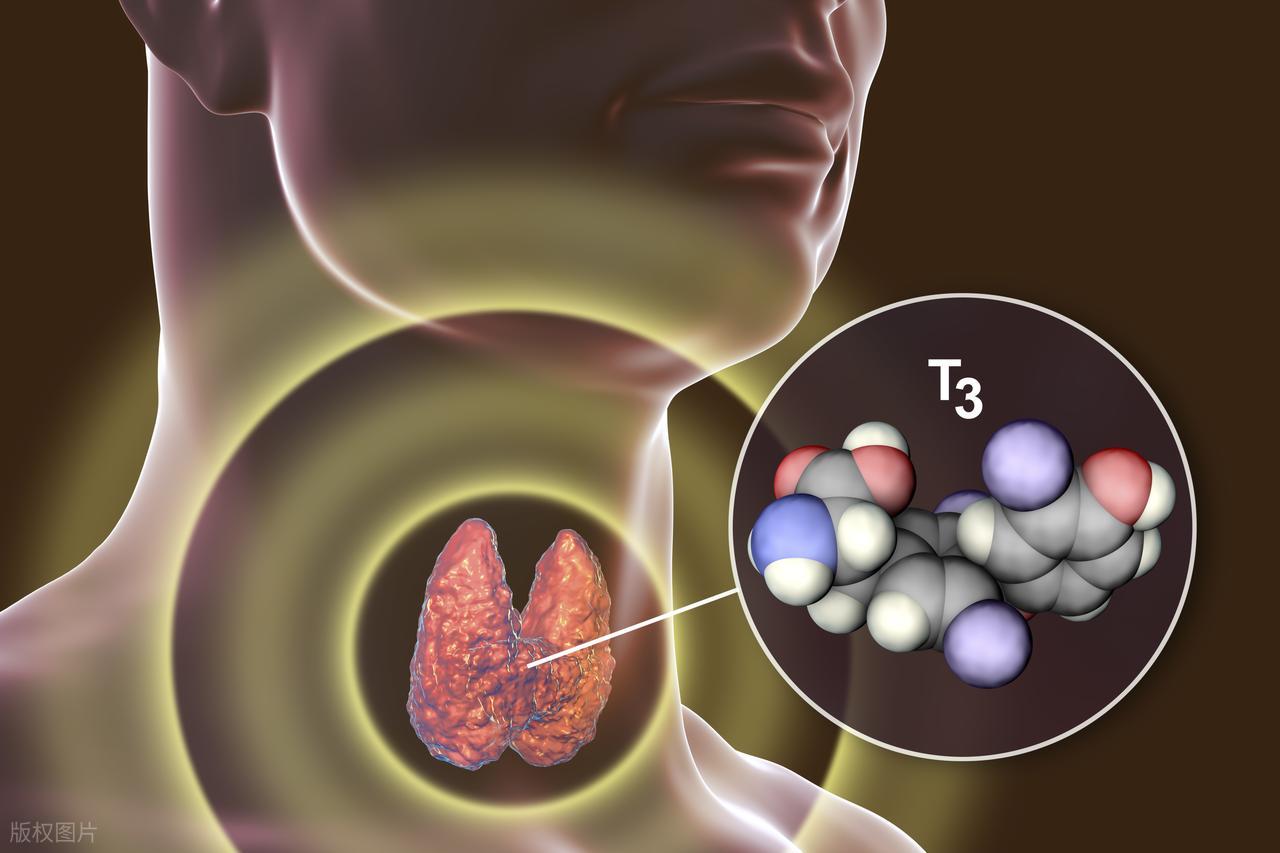 玉米补硒栽培(玉米硒多少钱一盒)-硒宝网
