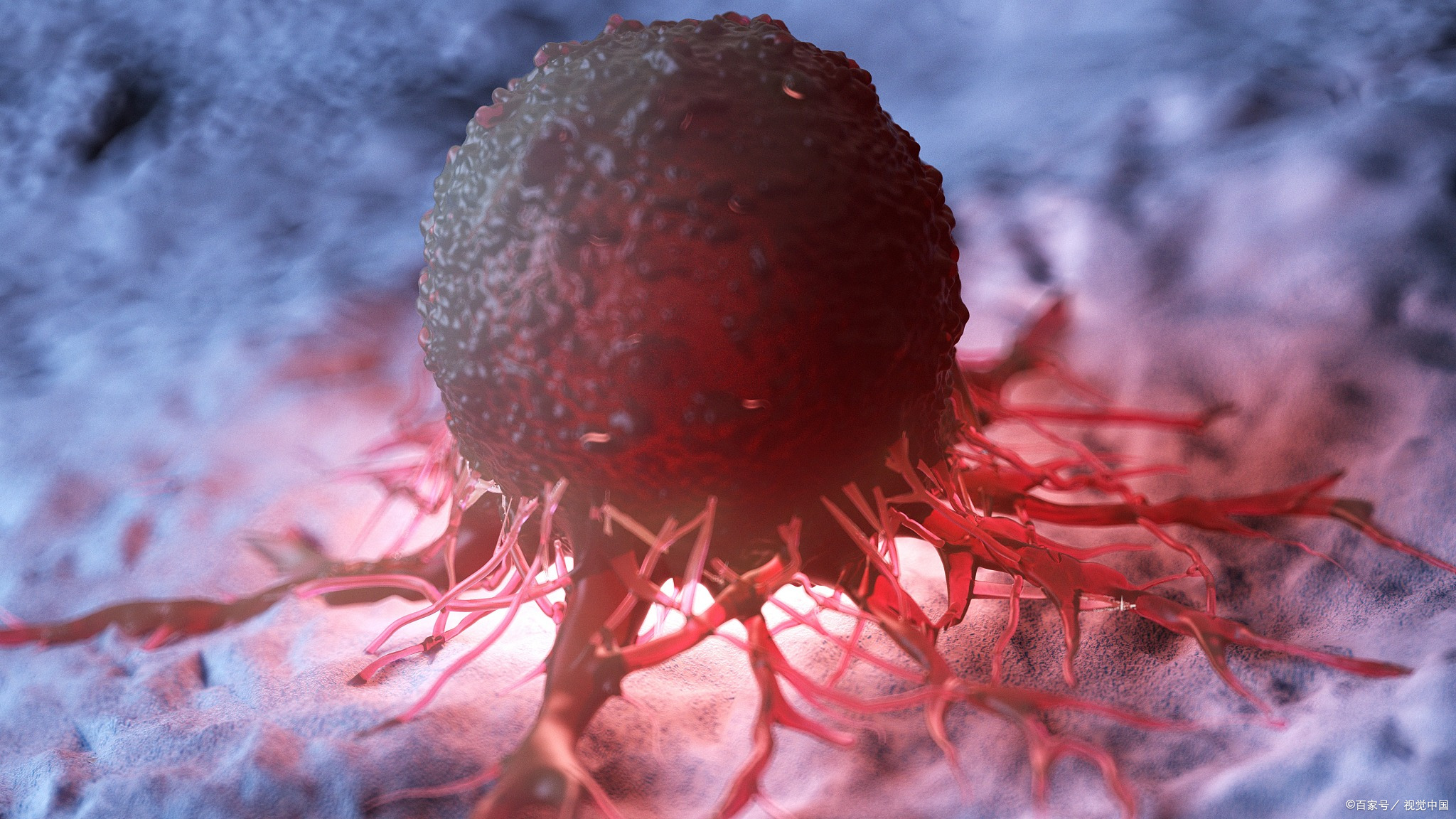 补锌硒怎么补(硒的重要性及作用)-硒宝网