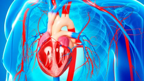 补锌硒怎么补(硒的重要性及作用)-硒宝网