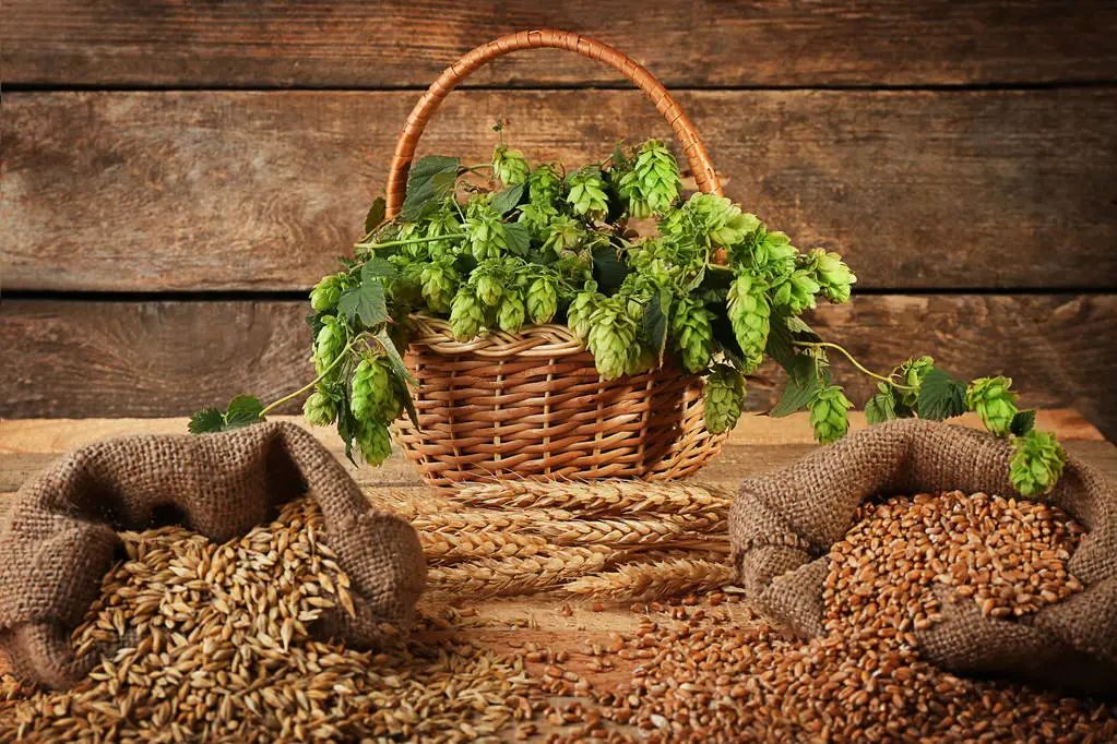 补硒乳腺结节(延缓餐后血糖上升食物)-硒宝网