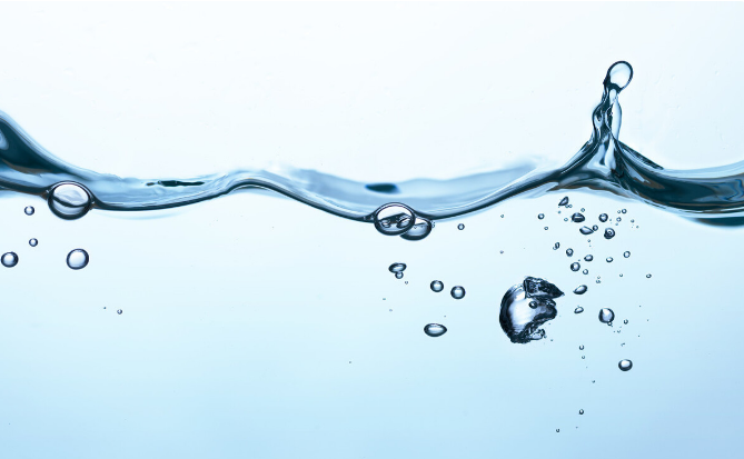 兔子怎样补硒(兔子最佳饮食推荐)-硒宝网