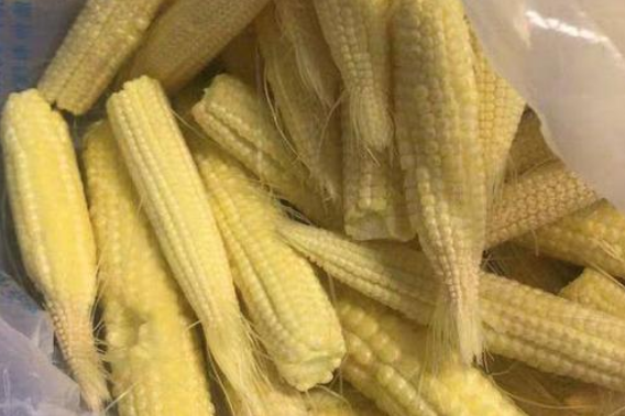 兔子怎样补硒(兔子最佳饮食推荐)-硒宝网