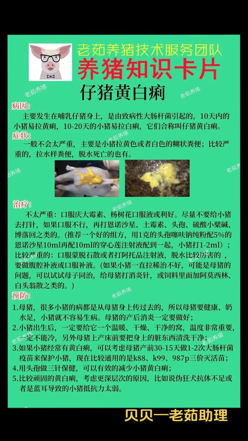 小猪补铁补硒（仔猪黄痢）-硒宝网