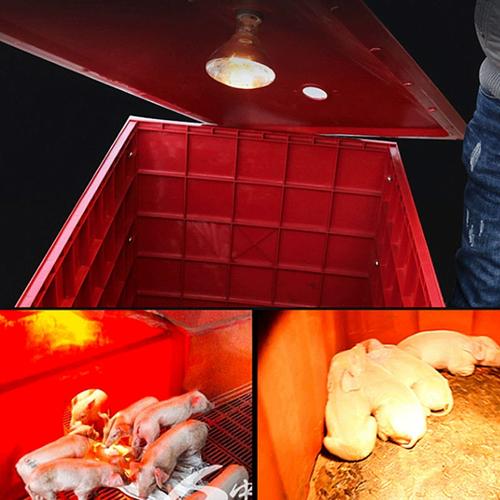 小猪补铁补硒（冬季仔猪保温技术）-硒宝网