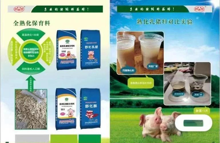 小猪补铁补硒（冬季仔猪保温技术）-硒宝网