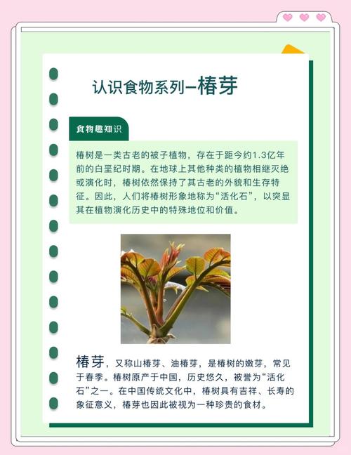 蔬菜如何补硒（香椿亚硝酸盐含量高）-硒宝网