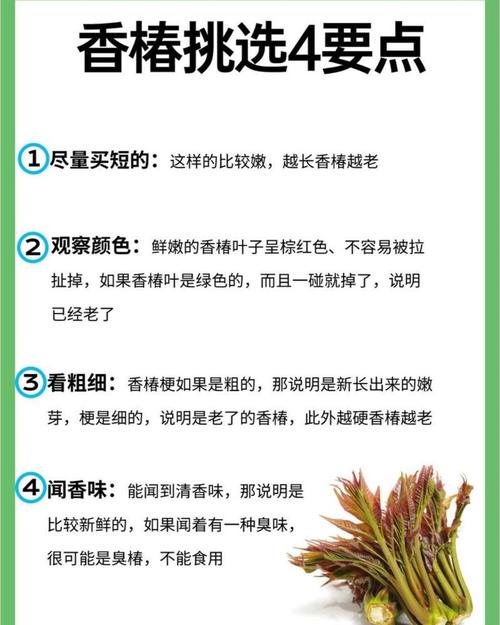 蔬菜如何补硒（香椿亚硝酸盐含量高）-硒宝网